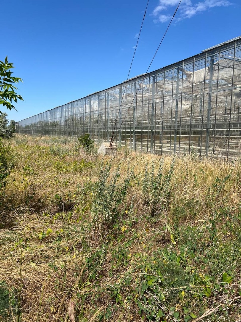 продажа предприятия номер C-174110 в Роксоланах, фото номер 13